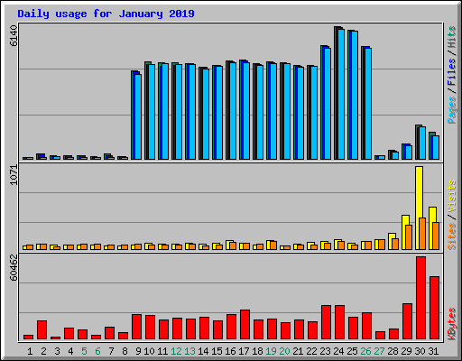 Daily usage for January 2019