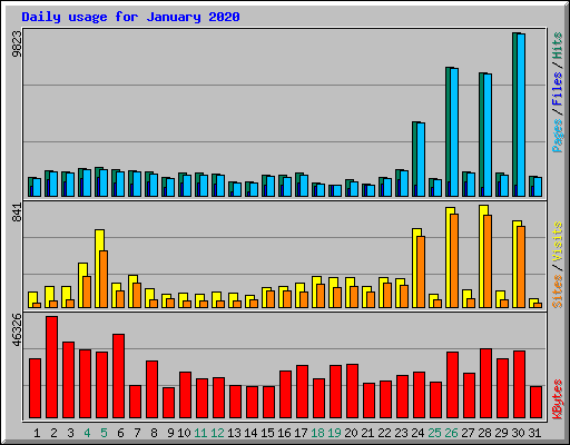 Daily usage for January 2020