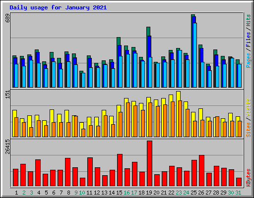 Daily usage for January 2021