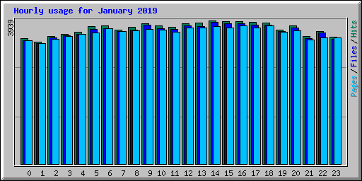 Hourly usage for January 2019