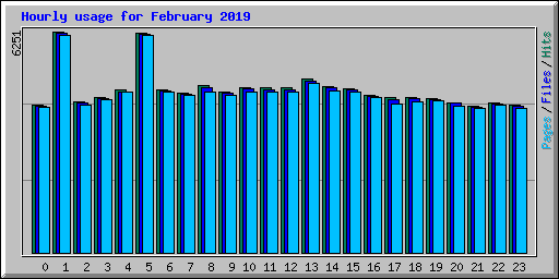 Hourly usage for February 2019