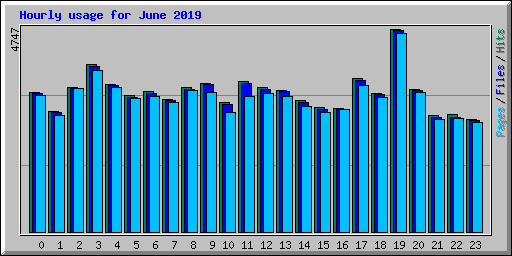 Hourly usage for June 2019