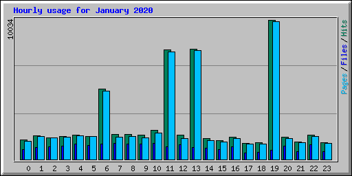 Hourly usage for January 2020