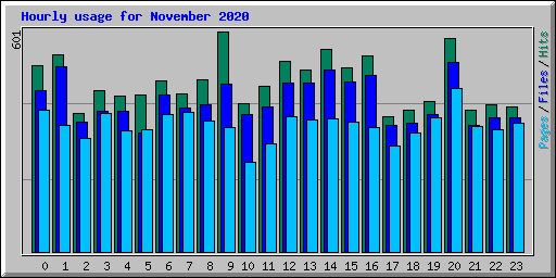 Hourly usage for November 2020