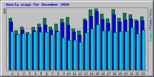 Hourly usage for December 2020