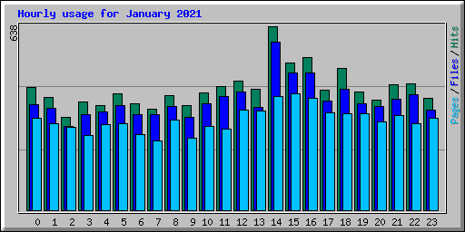 Hourly usage for January 2021