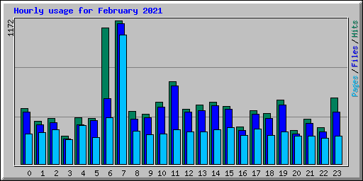Hourly usage for February 2021