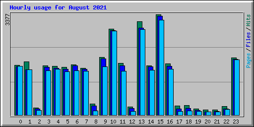 Hourly usage for August 2021