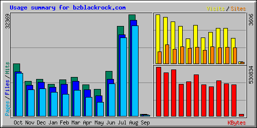 Usage summary for bzblackrock.com